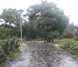 Huayamilpas sixth of Ecological Park photo