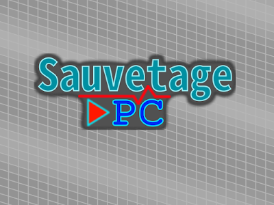 Sauvetage PC à Le Grau-du-Roi