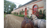 Arzano Equitation SARL Arzano