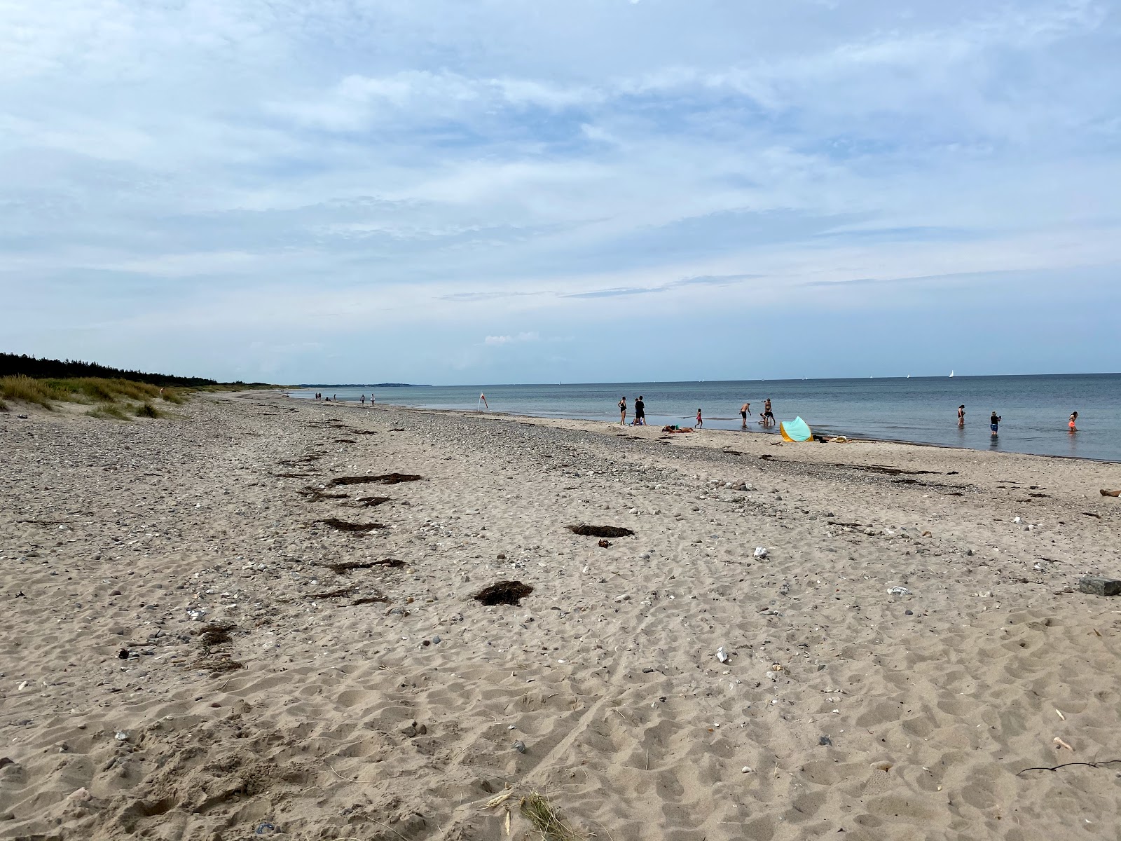 Foto de Tisvildeleje Beach - lugar popular entre os apreciadores de relaxamento