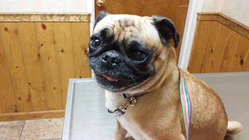 16916 County Rd 450a, Umatilla, FL 32784, USA