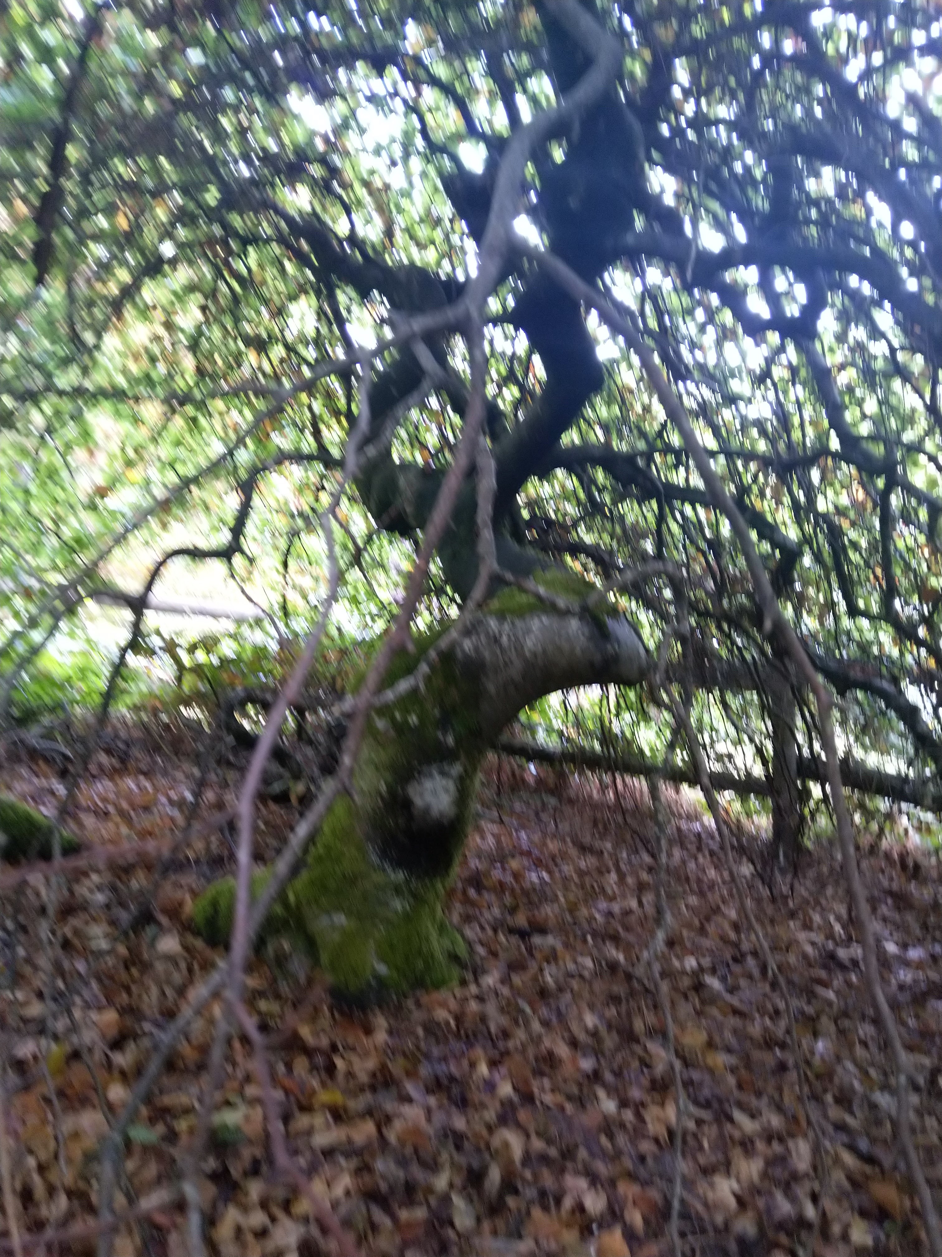 Photo n° 1 de l'avis de geneviève.e fait le 27/09/2020 à 17:20