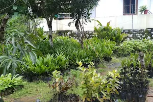 Vrindavan Garden image