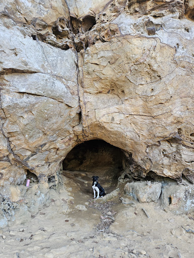 Bear Cave Trail