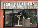 Exotic Feathers