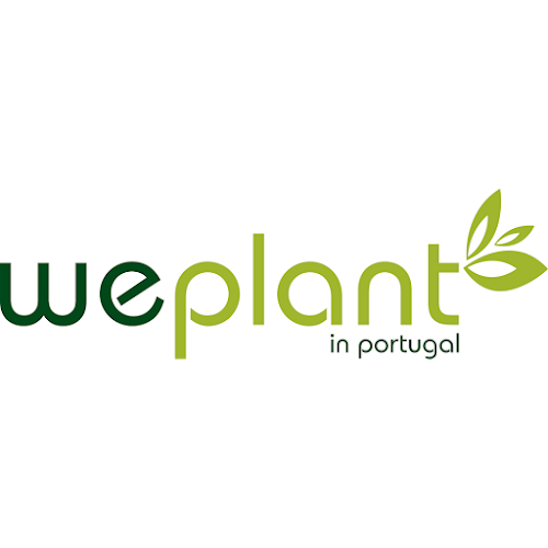 We Plant in Portugal - Produtor de mirtilo em vaso - Ourém