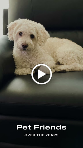 Sporting Goods Store «All American Sports Shop», reviews and photos, 20120 Saticoy St, Winnetka, CA 91306, USA