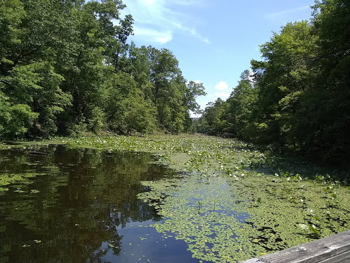 Golf Course «Cattails at MeadowView Golf Course», reviews and photos, 1901 Meadowview Pkwy, Kingsport, TN 37660, USA