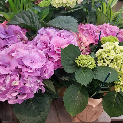 Supermarket «Stater Bros. Markets», reviews and photos, 22201 Barton Rd, Grand Terrace, CA 92313, USA