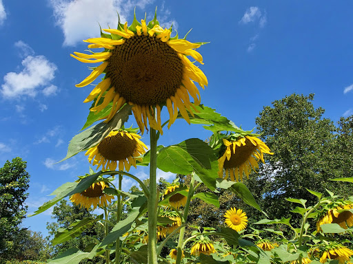 Park «Norristown Farm Park», reviews and photos, 2500 Upper Farm Rd, Norristown, PA 19403, USA