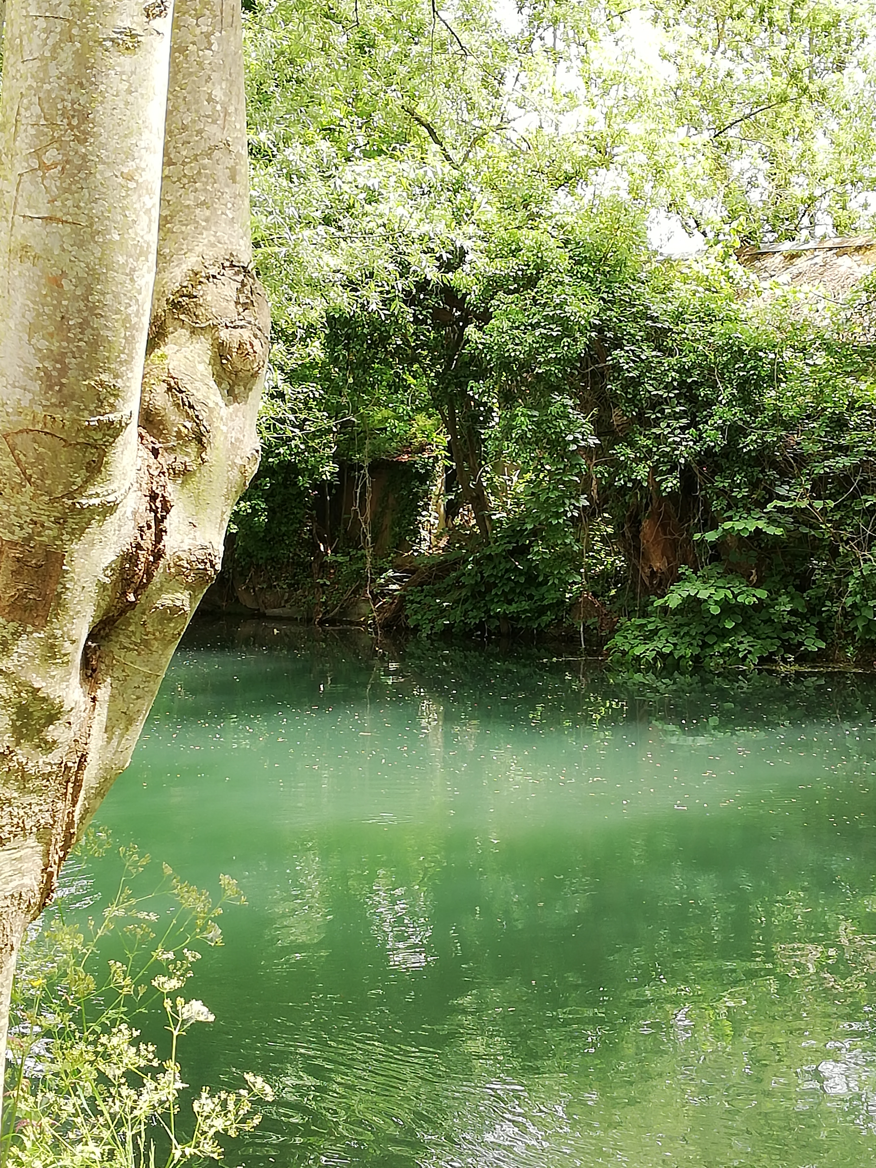 Photo n° 3 de l'avis de Miloute.i fait le 27/05/2019 à 16:19