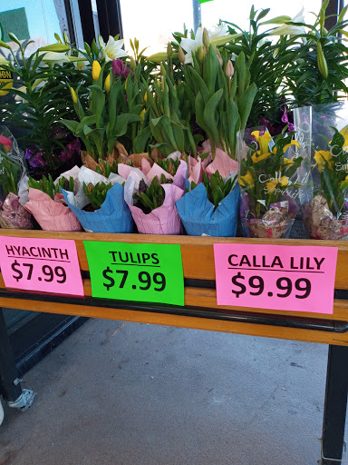 Grocery Store «Hollywood Super Market», reviews and photos, 714 N Main St, Royal Oak, MI 48067, USA