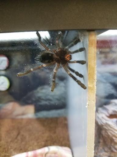 Pet Supply Store «Petco Animal Supplies», reviews and photos, 1680 Campbell Ln, Bowling Green, KY 42104, USA