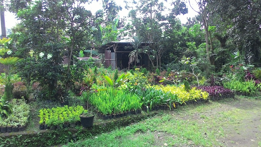 Puspita Jaya Tarukan Garden And Farm