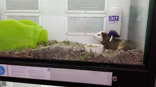 Pet Supply Store «Petco Animal Supplies», reviews and photos, 520 Woodside Rd, Redwood City, CA 94061, USA