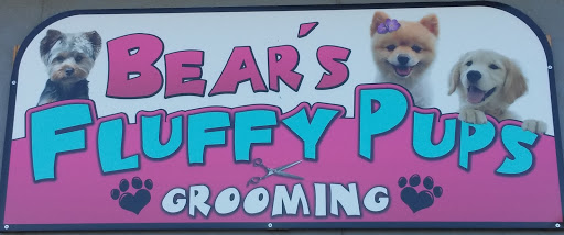 Bear's Fluffy Pups Standard Poodle Puppies and Grooming