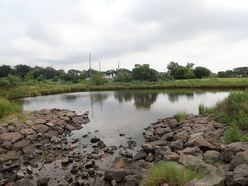 Park «Lemon Creek Park», reviews and photos, Hylan Blvd, Staten Island, NY 10309, USA