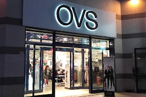 OVS image