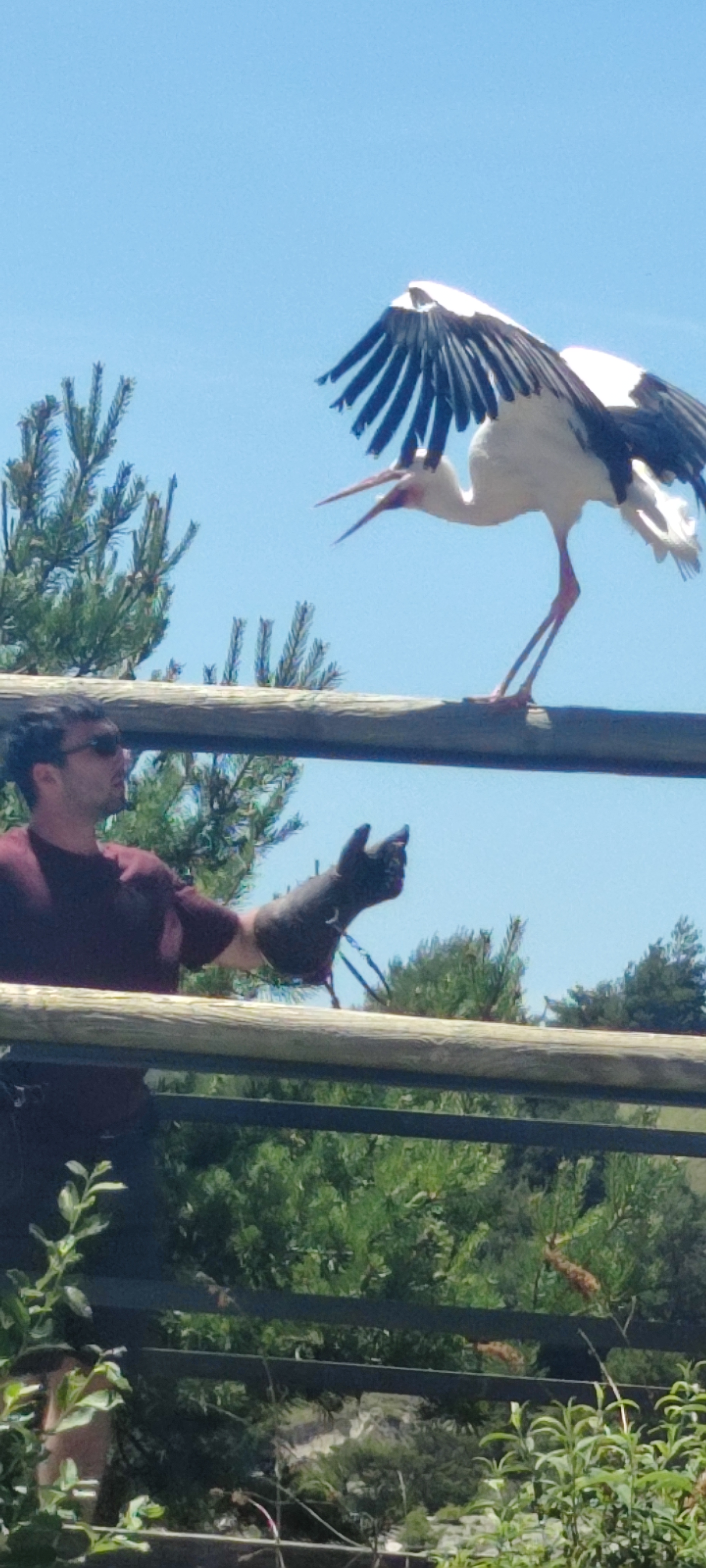 Photo n° 10 de l'avis de BERNARD.O fait le 25/06/2022 à 20:46