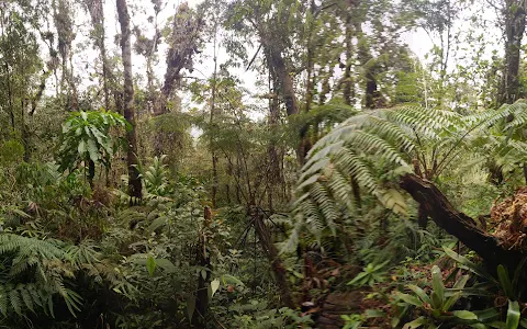 Biotopo del Quetzal image