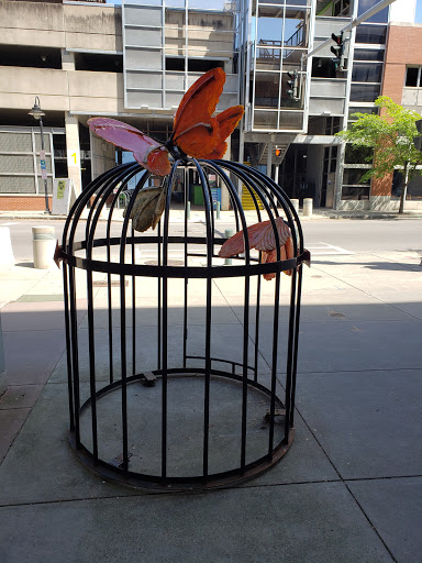 Clothing Store «Urban Outfitters», reviews and photos, 131 E Green St, Ithaca, NY 14850, USA