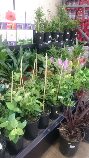 Grocery Store «Grocery Outlet Bargain Market», reviews and photos, 299 D St NE, Salem, OR 97301, USA