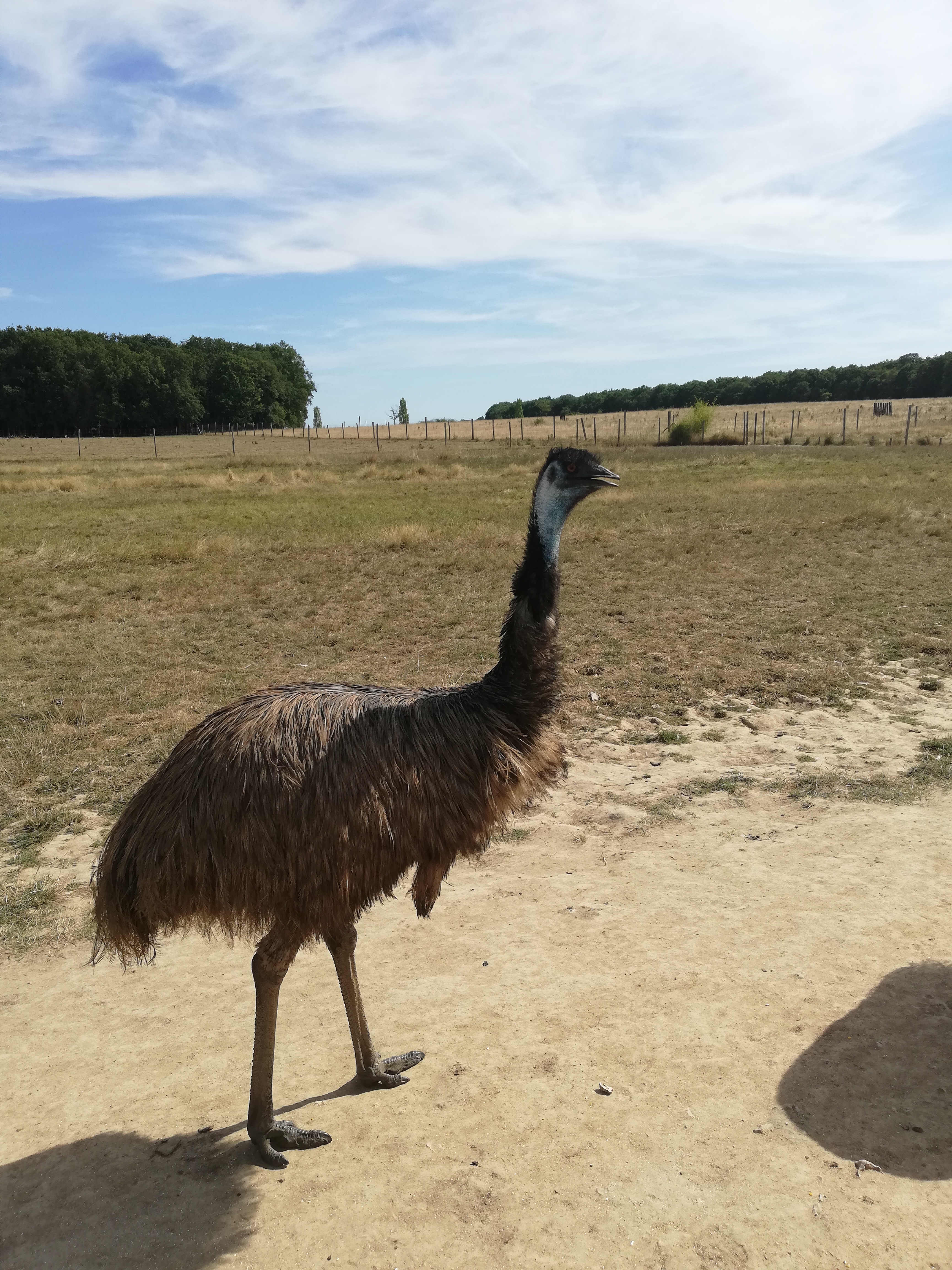 Photo n° 38 de l'avis de Severine.e fait le 23/08/2019 à 23:18