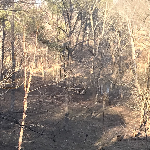 Home Goods Store «Urban Elements», reviews and photos, 19 Water St, Newburyport, MA 01950, USA