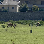 Photo n°2 de l'avis de adriana. fait le 20/08/2023 à 19:18 sur le  Hotel La Caporala à Castel d'Azzano
