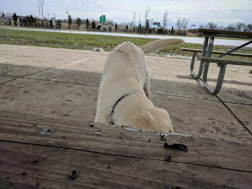 Dog Park «Beck Lake Off-Leash Dog Area», reviews and photos, 9700 Gloria Ct, Glenview, IL 60025, USA