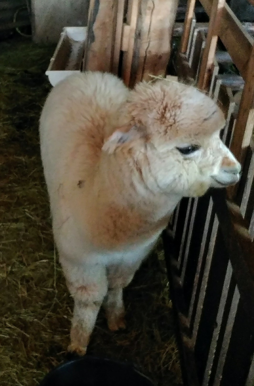 Photo n° 3 de l'avis de jerome. fait le 27/02/2018 à 06:50