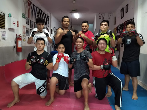 Academia De Artes Marciales Mixtas & Fitness