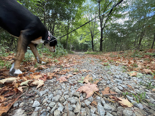 Produce Market «Smith Farm», reviews and photos, 131 Kimball Hill Rd, Hudson, NH 03051, USA