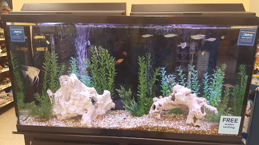 Pet Supply Store «PetSmart», reviews and photos, 3425 Amelia Dr, Orchard Park, NY 14127, USA