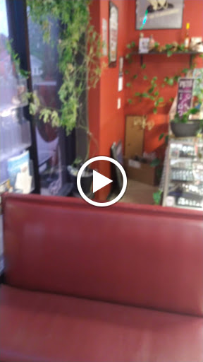 Explore led zeppelin tattoo ideas, creative tattoo ideas in Kill Devil Hills, available at Croatan Tattoo Company