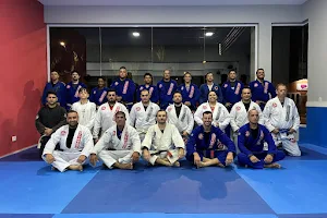 Gracie barra jiu-jitsu e defesa pessoal image