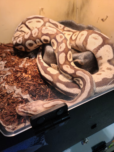 Pet Store «Pet Land», reviews and photos, 1450 Fort Campbell Blvd, Clarksville, TN 37042, USA