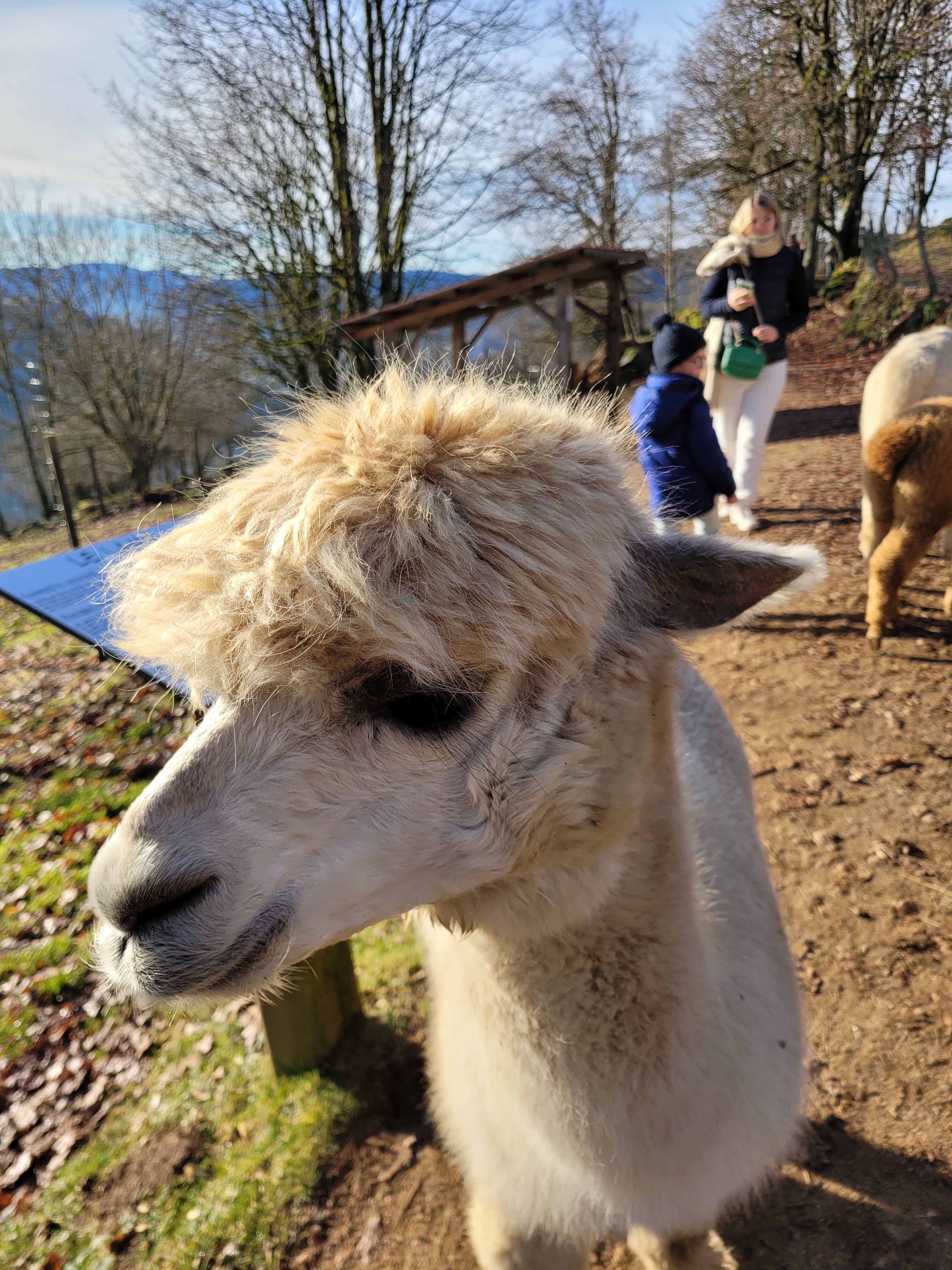 Photo n° 6 de l'avis de Bruno.e fait le 27/12/2023 à 22:08
