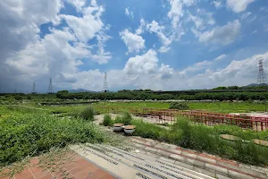 大安溪生態公園（石虎公園） image