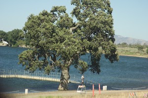 Brite Lake - photo 27