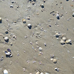 Photo n°4 de l'avis de ottó.� fait le 25/06/2018 à 09:18 sur le  Bagno Bianconero N.8 - Tagliata à Cervia