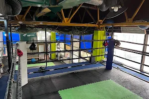 Pagonis Pro Boxing Gym image