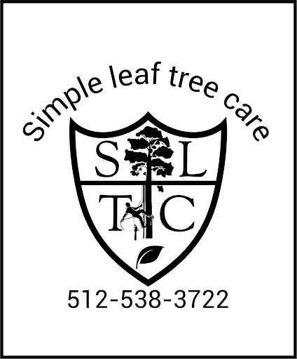 Commercial Services 3