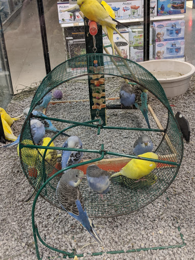 Pet Supply Store «Pet Valu», reviews and photos, 541 S Breiel Blvd, Middletown, OH 45044, USA