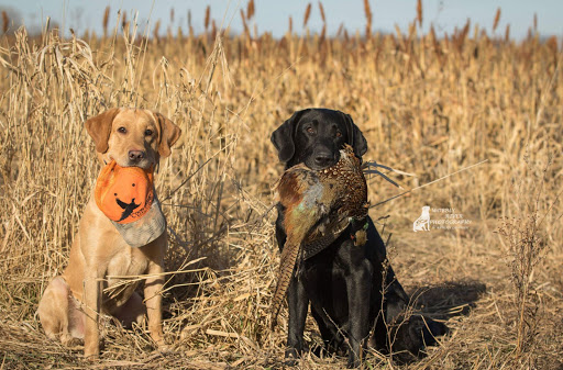 Hunting Club «Coon Creek Hunt Club», reviews and photos, 11050 Slough Rd, Garden Prairie, IL 61038, USA