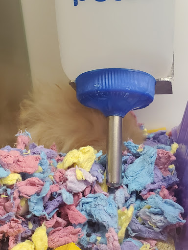 Pet Supply Store «Petco Animal Supplies», reviews and photos, 3055 N President George Bush Hwy, Garland, TX 75040, USA