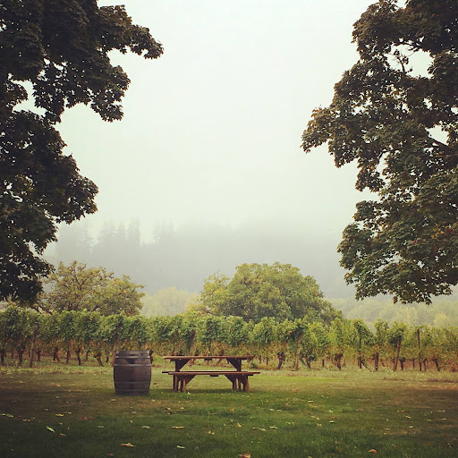 Vineyard «Tualatin Estate Vineyard», reviews and photos, 10850 NW Seavey Rd, Forest Grove, OR 97116, USA