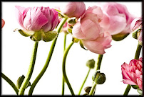 ARCADE ART STUDIO - Photo 2 - Car repair in Ellicott City, MD, Baltimore