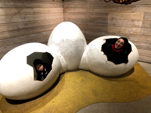 Zoo «Farm In The Zoo», reviews and photos, 1911 N Stockton Dr, Chicago, IL 60614, USA