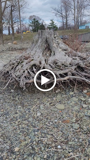 Campground «Sheridan Bay Park», reviews and photos, 3193 Lake Shore Dr E, Dunkirk, NY 14048, USA